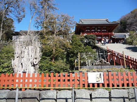 120209-八幡さま (5)