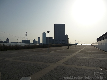 120306-大阪 中央突堤 (1)