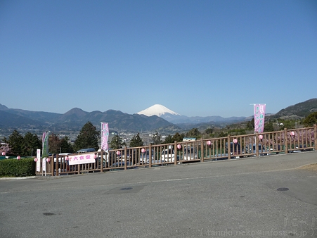 120329-松田山から富士山 (11)