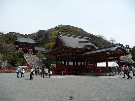 120413-八幡さま (22)