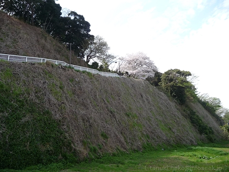 120413-港の見える丘公園 (39)
