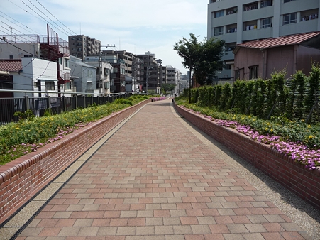 110622-東横廃線 東白楽→反町 (18)