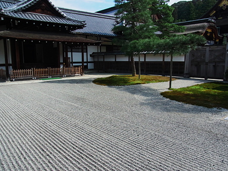 泉涌寺