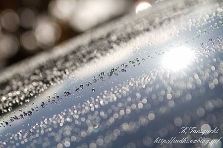 たまぼけ EOS7D SPAF 28-75 A09