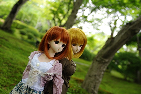 IMGP9981