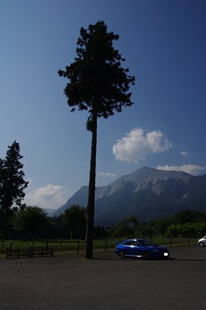 IMGP1196