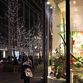 Photos: 2011.12.29　丸の内仲通り　花屋の店先
