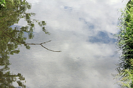 2012.05.16　和泉川　空流れ