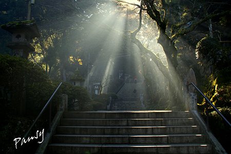 光芒・・大雄山最乗寺さんぽ・・43