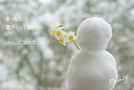 雪の日・・