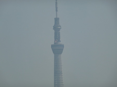 P1050192