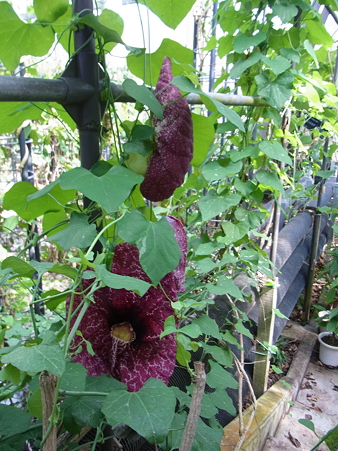 RIMG0296(1)