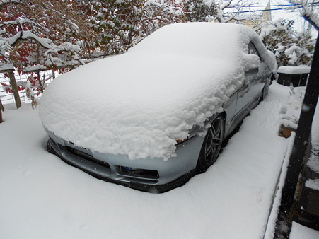 DSCN0535