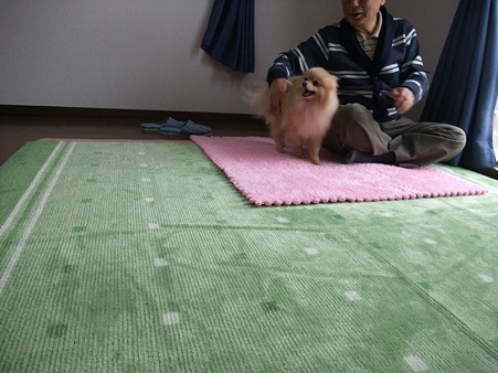 DSCF4659