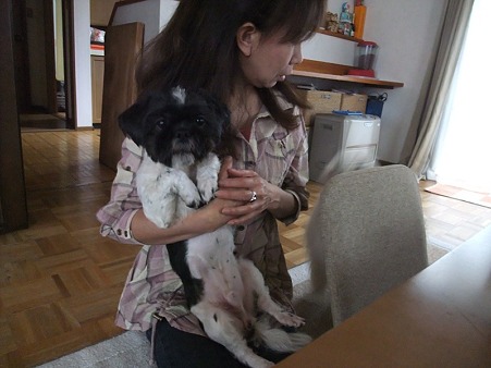こっちゃんに本当の家族が出来ました