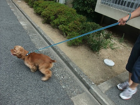 帰りは金ちゃんも