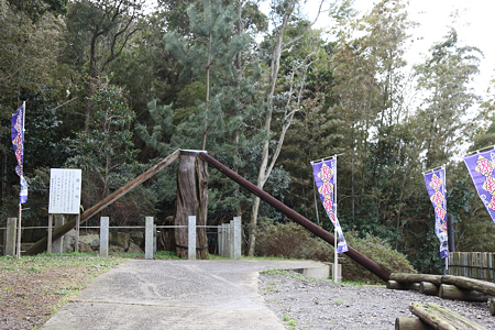 磔の松 - 2