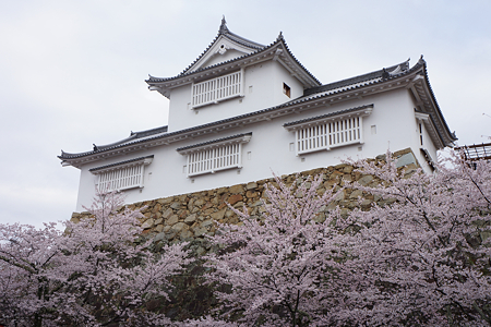津山城 - 004