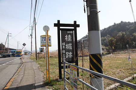 桂城 - 1
