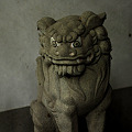 Photos: 稲荷神社狛犬吽形