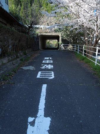 DSCN1665
