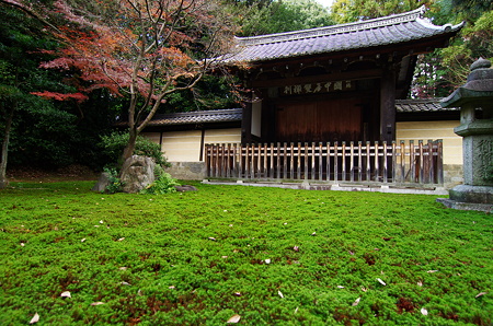 IMGP6891