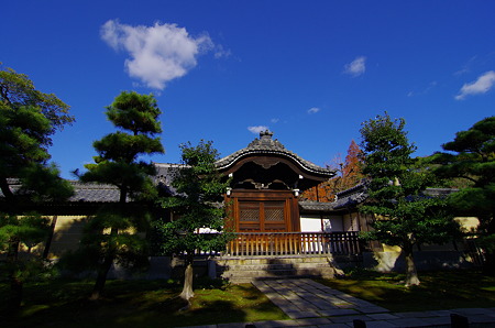 IMGP7014