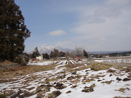 DSC06649
