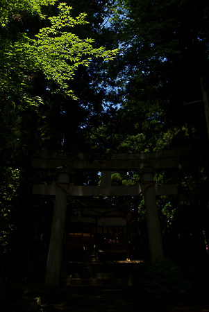 門
