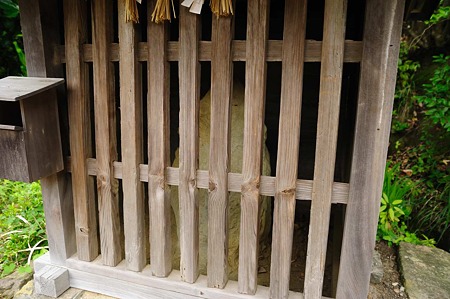 1106220830_DSC_0808