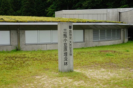1106221257_DSC_1129