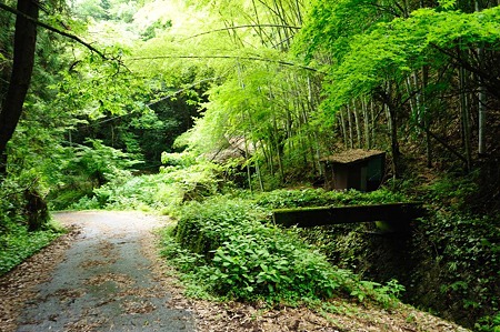 1106230929_DSC_1870