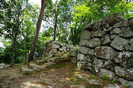 1106231148_DSC_2199