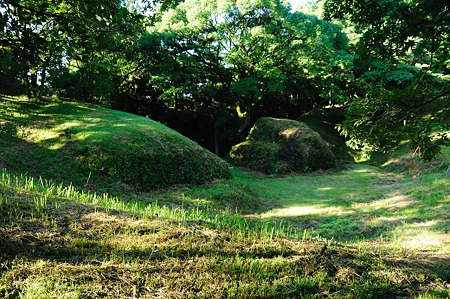 1107120718_DSC_5356