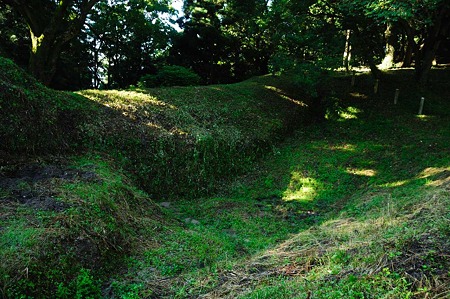 1107120722_DSC_5406