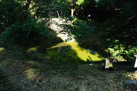 1107120735_DSC_5461