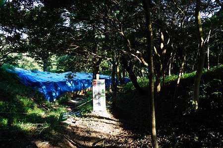 1107120739_DSC_5469