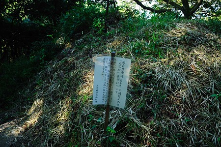 1107120742_DSC_5479