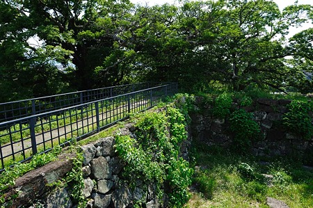 1107121531_DSC_3376