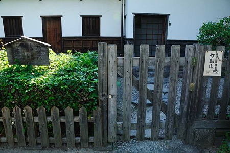 1107121552_DSC_5726