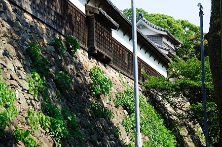 1107121555_DSC_5739