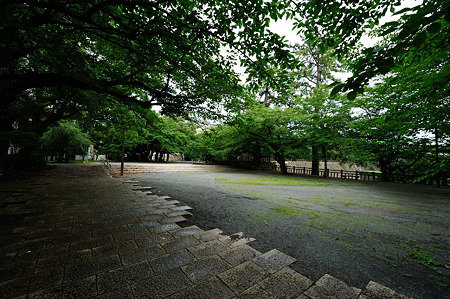 1107131651_DSC_3931