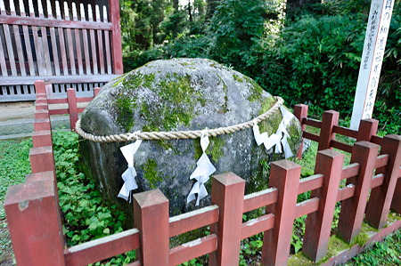 1108130806_DSC_4253