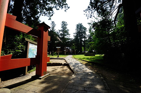 1108130917_DSC_4445