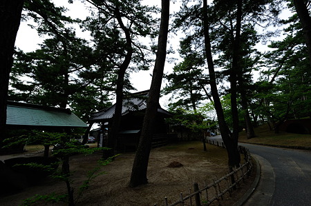1108131547_DSC_4830