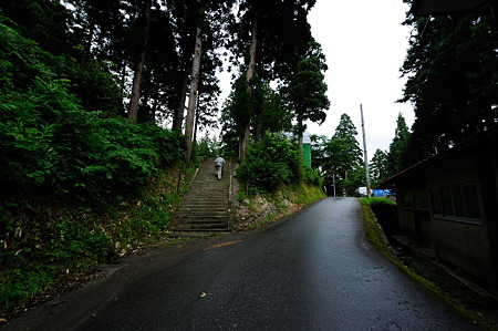 1108151429_DSC_6576