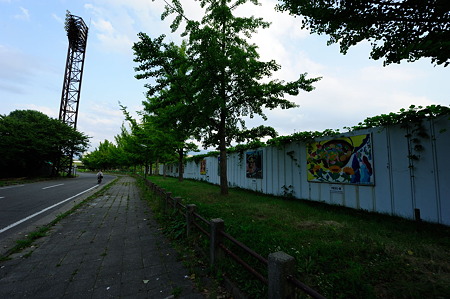 1108151720_DSC_6818