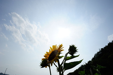 1108161523_DSC_7654