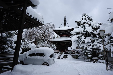 1101011048_DSC_5965