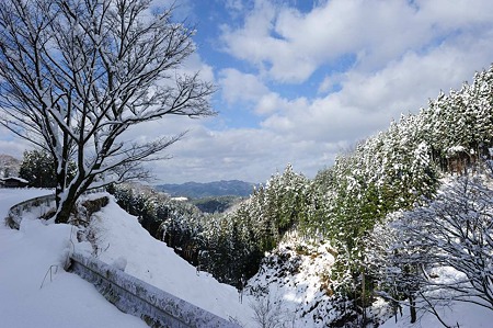 1101011329_DSC_6438